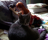 Filename=Cuddle-cat.jpg
Filesize=155KB
Dimensions=600x498
Date added=Aug 06, 2010 Cuddle-cat.jpg