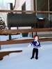 LeafSnow01.jpg