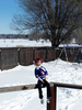 LeafSnow03.jpg