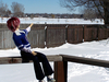 LeafSnow04.jpg