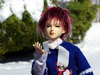 LeafSnow05.jpg