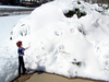 LeafSnow07.jpg