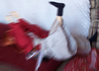 Welcome16.jpg